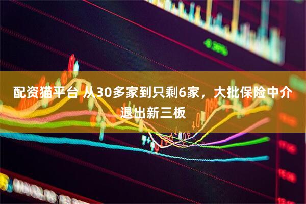 配资猫平台 从30多家到只剩6家，大批保险中介退出新三板